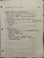Lecture 3 - Beef Cattle