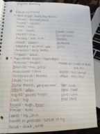 EXSC 292 - Section 1 (Winfrey-Kovell)