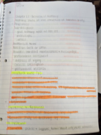 EXSC 292 - Section 1 (Winfrey-Kovell)