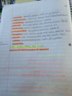 EXSC 292 - Section 1 (Winfrey-Kovell)