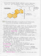 Preview Notes