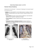 Human Gross Anatomy Lecture 1