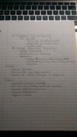 IMAG0231.jpg