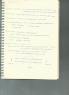 HCOM 100 MIDTERM STUDY GUIDE 