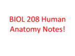BIOL 208 Notes