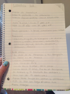 Spanish 310