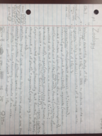 Week 1 Notes