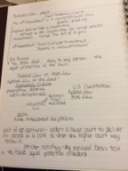 Law 101, Week 1&2 Notes