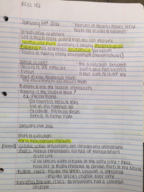 Week 1 Notes