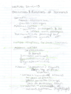 Hormones
