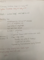 Module 13-Heart Anatomy and Cardiac Muscle