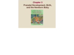 CDE 232 Chapter 3