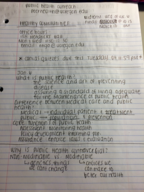 PPPM Healthy Communities Week 1-4 Notes 