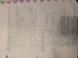 Everyone Leads Chapter 2 notes
