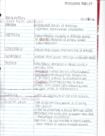Week 2 Notes/Coon and Ragtime