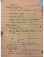 Week 3 of notes