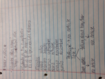 Spanish 1 exam 1 