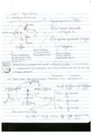 CHEN 3200, CH 2 TEXTBOOK NOTES + LECTURE NOTES 2
