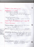Bio 100 Chapter 5 Textbook Notes