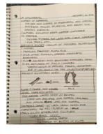 Landscape Architecture Engineering Notes Week 3