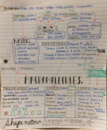 A&P | Weeks 1-2 