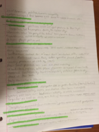 History 1310, Week 2 Reading
