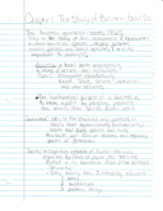 Ethics Chapter 1