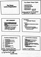 ASCI 141 Week #2 Notes
