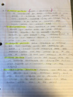Spanish 310 notes