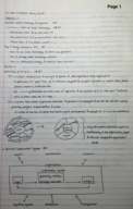 Study Guide Midterm 1