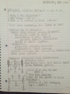 Physics 1201W- Week 1&2 Lecture Notes 
