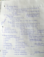 Week One Reading and In Class Notes
