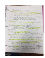 Chapter 4 and 2-1 Lecture 