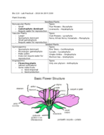 Study Guide - Laboratory Practical Exam - Plant and Animal Diversity