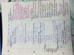 Chapter 4 notes