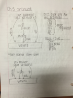 Chapter 5 & Chapter 6 Notes