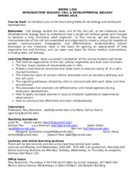 Syllabus