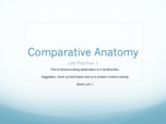 Comparative Anatomy Lab  Practical 1