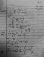 Organic Chemistry 2 ch 16 rxns Examples