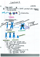 Week 1 Notes