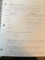 Healthy Psychology Week 4 Notes