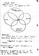 cdfs 211 chapter 3 notes page 4