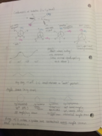 Chem notes week 2