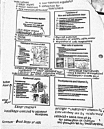 ASCI 141 Week #3 Notes