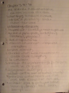 Intro to Person Week 3 notes