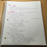 Western Cultures Week 2 Notes