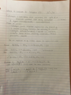 Week 3/4 Notes 