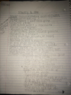 Week 5 Cultural Anthropology Notes