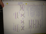 Genetics Week 4