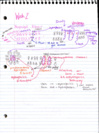 BMS300 Week 2 Notes